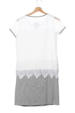 Kleid Liu Jo, Größe XS, Farbe Mehrfarbig, Preis € 43,99