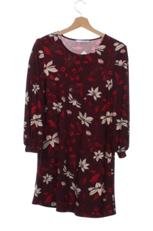 Kleid Mango, Größe XS, Farbe Mehrfarbig, Preis 23,99 €