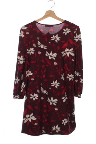 Kleid Mango, Größe XS, Farbe Mehrfarbig, Preis 23,99 €