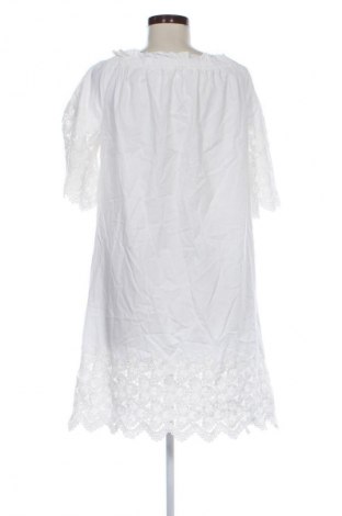 Kleid Mango, Größe S, Farbe Weiß, Preis 23,99 €