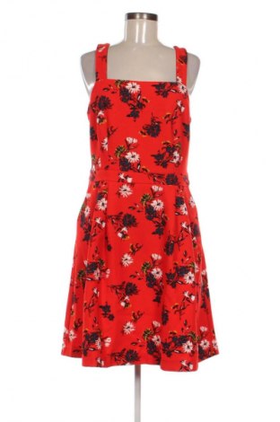 Kleid Mint & Berry, Größe L, Farbe Mehrfarbig, Preis € 20,99