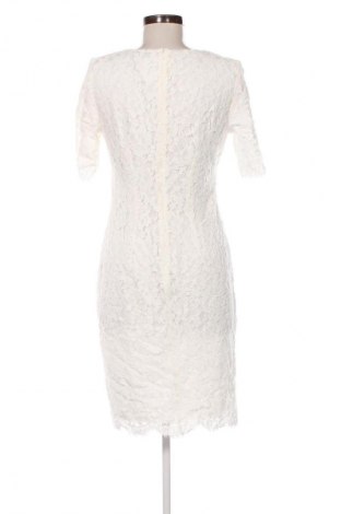 Kleid Montego, Größe S, Farbe Weiß, Preis € 40,99