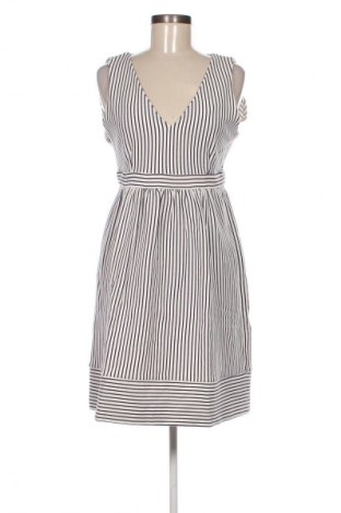 Kleid Naf Naf, Größe L, Farbe Mehrfarbig, Preis € 33,99