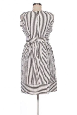 Kleid Naf Naf, Größe L, Farbe Mehrfarbig, Preis € 33,99