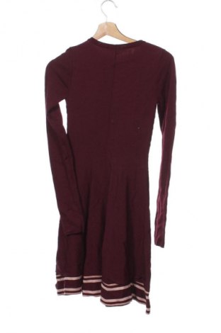 Kleid Nikkie, Größe XS, Farbe Rot, Preis € 57,99