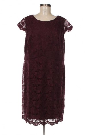 Rochie S.Oliver Black Label, Mărime XL, Culoare Roșu, Preț 267,99 Lei