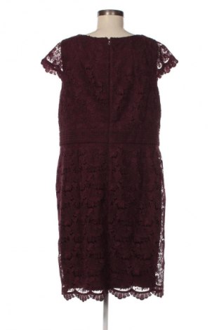 Rochie S.Oliver Black Label, Mărime XL, Culoare Roșu, Preț 267,99 Lei