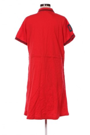 Kleid Sheego, Größe XL, Farbe Mehrfarbig, Preis € 33,99