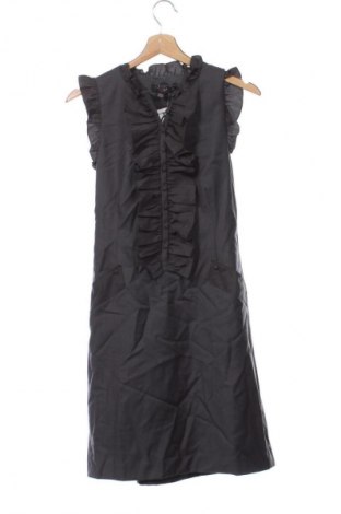 Φόρεμα Ted Baker, Μέγεθος XS, Χρώμα Γκρί, Τιμή 102,99 €