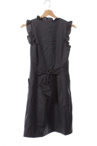 Φόρεμα Ted Baker, Μέγεθος XS, Χρώμα Γκρί, Τιμή 102,99 €