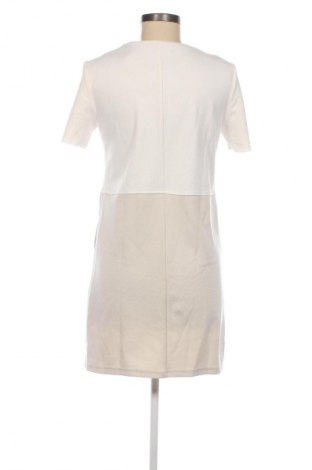 Рокля Zara, Размер S, Цвят Многоцветен, Цена 27,99 лв.