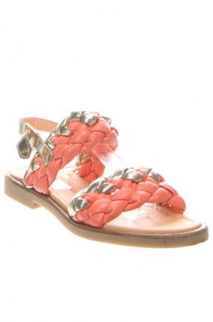 Sandalen Unbranded, Größe 36, Farbe Mehrfarbig, Preis € 27,99