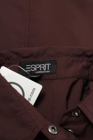Γυναικείο πουκάμισο Esprit, Μέγεθος S, Χρώμα Καφέ, Τιμή 11,07 €