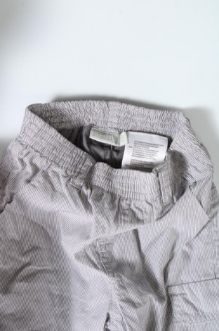 Pantaloni scurți pentru copii Mexx, Mărime 3-6m/ 62-68 cm, Culoare Gri, Bumbac, Preț 18,09 Lei
