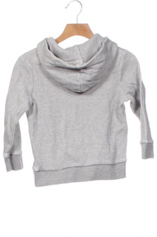 Kinder Sweatshirts Topolino, Größe 5-6y/ 116-122 cm, Farbe Grau, Preis 22,27 €