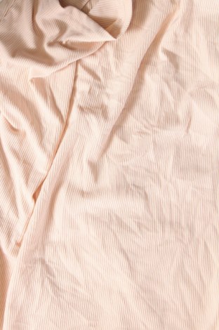Γυναικεία μπλούζα, Μέγεθος XS, Χρώμα  Μπέζ, Τιμή 3,53 €