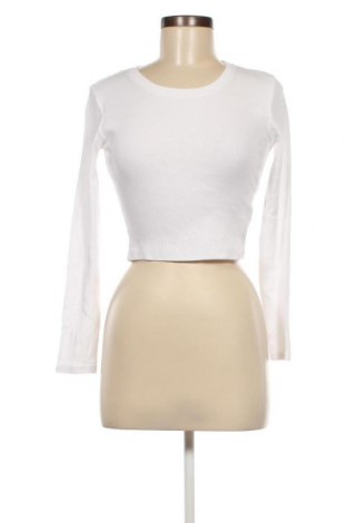 Γυναικεία μπλούζα About You, Μέγεθος M, Χρώμα Λευκό, Τιμή 23,71 €