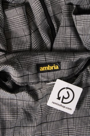 Γυναικεία μπλούζα Ambria, Μέγεθος XL, Χρώμα Πολύχρωμο, Τιμή 3,88 €