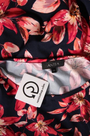Γυναικεία μπλούζα Antea, Μέγεθος XL, Χρώμα Πολύχρωμο, Τιμή 6,46 €