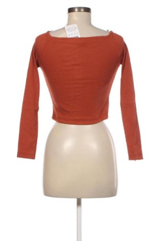 Damen Shirt BGM, Größe S, Farbe Braun, Preis € 3,52