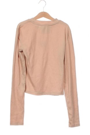 Damen Shirt Bershka, Größe S, Farbe Braun, Preis 5,99 €