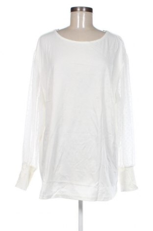 Γυναικεία μπλούζα Body Flirt, Μέγεθος XXL, Χρώμα Εκρού, Τιμή 11,16 €