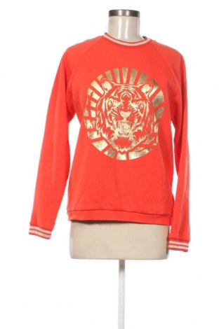 Γυναικεία μπλούζα Caddis Fly, Μέγεθος M, Χρώμα Κόκκινο, Τιμή 9,72 €