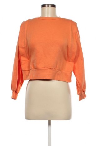 Γυναικεία μπλούζα Calliope, Μέγεθος XS, Χρώμα Πορτοκαλί, Τιμή 5,29 €