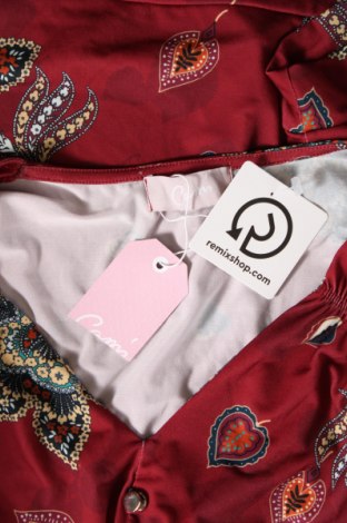 Γυναικεία μπλούζα Cami, Μέγεθος L, Χρώμα Πολύχρωμο, Τιμή 15,98 €