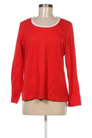Γυναικεία μπλούζα Canda, Μέγεθος M, Χρώμα Κόκκινο, Τιμή 5,88 €