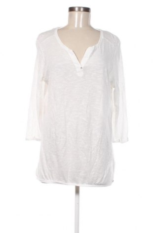 Γυναικεία μπλούζα Cecil, Μέγεθος L, Χρώμα Εκρού, Τιμή 10,54 €