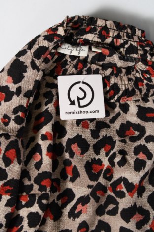 Γυναικεία μπλούζα City life, Μέγεθος XL, Χρώμα Πολύχρωμο, Τιμή 4,70 €