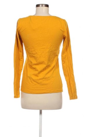 Damen Shirt Colours Of The World, Größe S, Farbe Gelb, Preis € 1,98