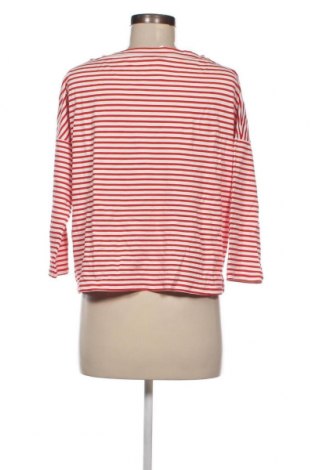 Damen Shirt Comma,, Größe M, Farbe Mehrfarbig, Preis 16,70 €
