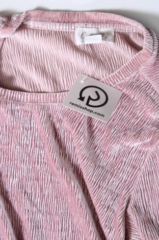 Damen Shirt Cotton Club, Größe XXL, Farbe Rosa, Preis € 4,49