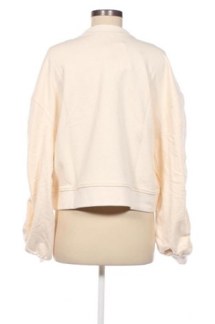 Damen Shirt Dante 6, Größe L, Farbe Beige, Preis € 43,98