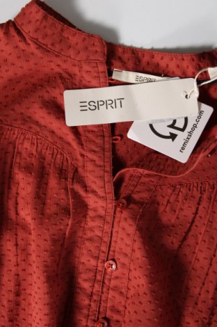 Дамска блуза Esprit, Размер M, Цвят Кафяв, Цена 15,40 лв.