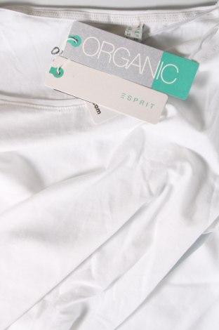 Damen Shirt Esprit, Größe XL, Farbe Weiß, Preis € 17,86