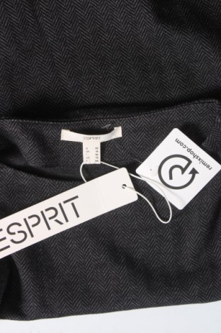 Damen Shirt Esprit, Größe L, Farbe Grau, Preis 7,94 €