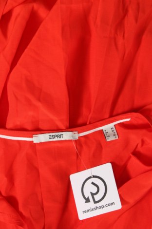 Γυναικεία μπλούζα Esprit, Μέγεθος XS, Χρώμα Πορτοκαλί, Τιμή 12,79 €