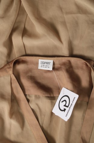 Damen Shirt Esprit, Größe XS, Farbe Grün, Preis 15,73 €