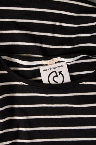 Γυναικεία μπλούζα Esprit, Μέγεθος M, Χρώμα Πολύχρωμο, Τιμή 9,94 €
