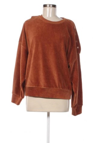 Γυναικεία μπλούζα Etam, Μέγεθος L, Χρώμα Καφέ, Τιμή 7,94 €
