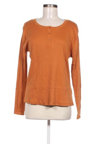 Damen Shirt Etam, Größe XL, Farbe Orange, Preis 39,69 €