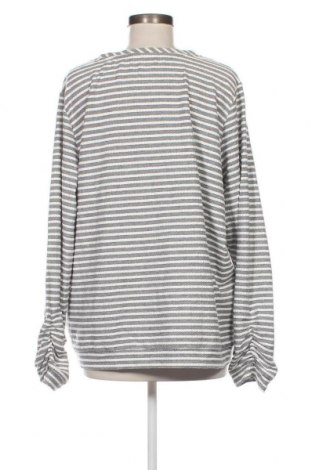 Damen Shirt Gina Benotti, Größe XL, Farbe Mehrfarbig, Preis € 5,29