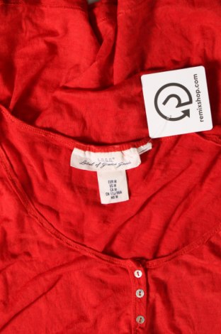 Damen Shirt H&M, Größe M, Farbe Rot, Preis € 10,19