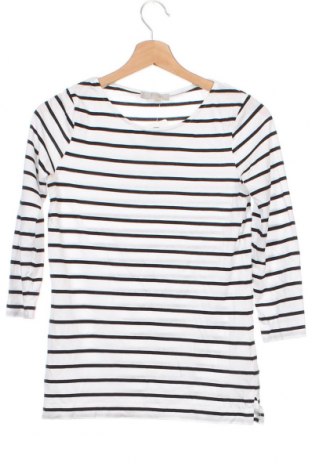 Γυναικεία μπλούζα Hobbs, Μέγεθος XS, Χρώμα Πολύχρωμο, Τιμή 27,94 €