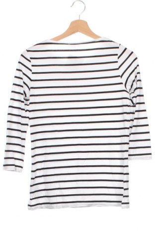 Damen Shirt Hobbs, Größe XS, Farbe Mehrfarbig, Preis € 7,99