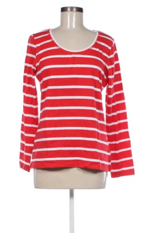 Γυναικεία μπλούζα Janina, Μέγεθος XL, Χρώμα Κόκκινο, Τιμή 7,05 €