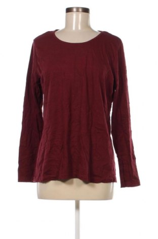 Γυναικεία μπλούζα Janina, Μέγεθος XL, Χρώμα Κόκκινο, Τιμή 4,11 €